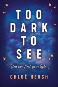 Book cover of Too Dark to See