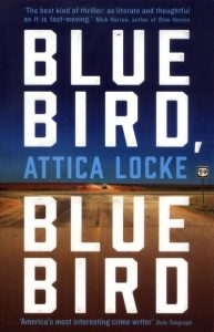 Book Cover of Blue Bird, Blue Bird