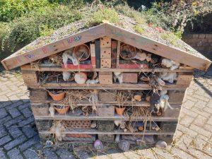 Bug Hotel